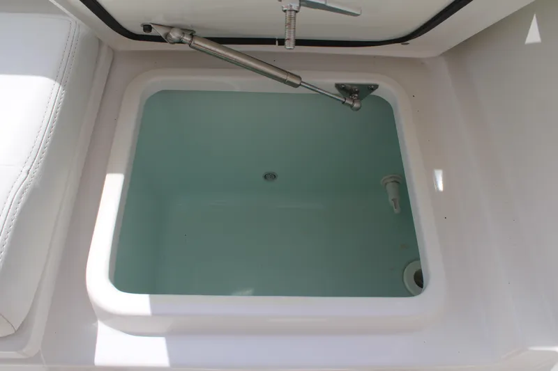 Slide: The Image of Open storage compartment on 2020 Edgewater 230 CX boat, featuring hydraulic support. - 24