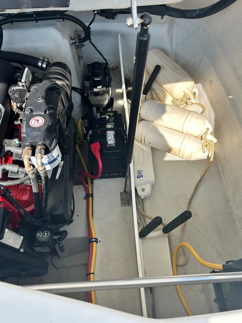 Slide: The Image of Cobalt 250 2005 - 54