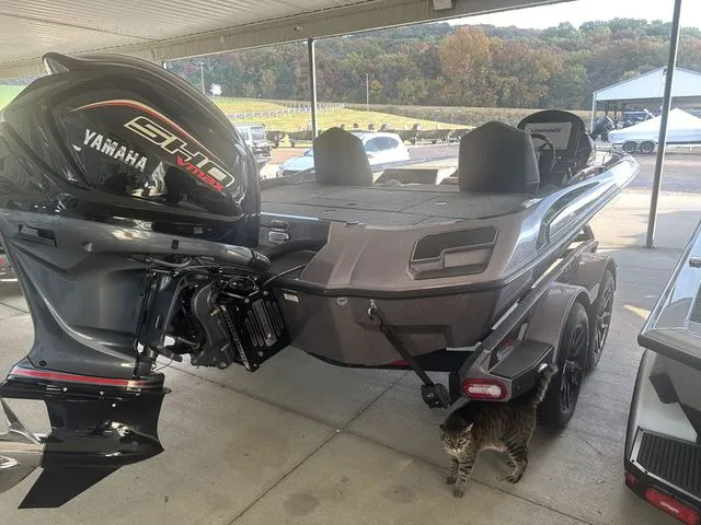 Slide: The Image of Vexus VXs20 2025 - 4