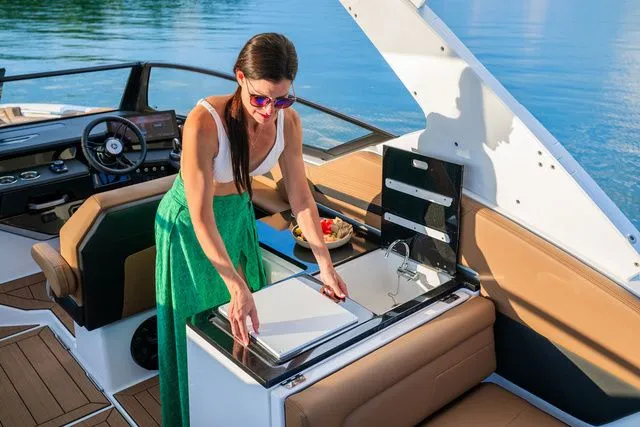 Slide: The Image of Yamaha 295SD 2026 - 31