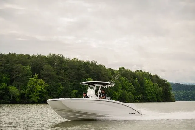 Slide: The Image of Yamaha 255 FSH Sport H 2026 - 5