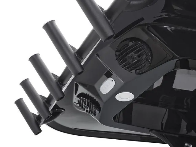 Slide: The Image of Yamaha 255 FSH Sport H 2026 - 13