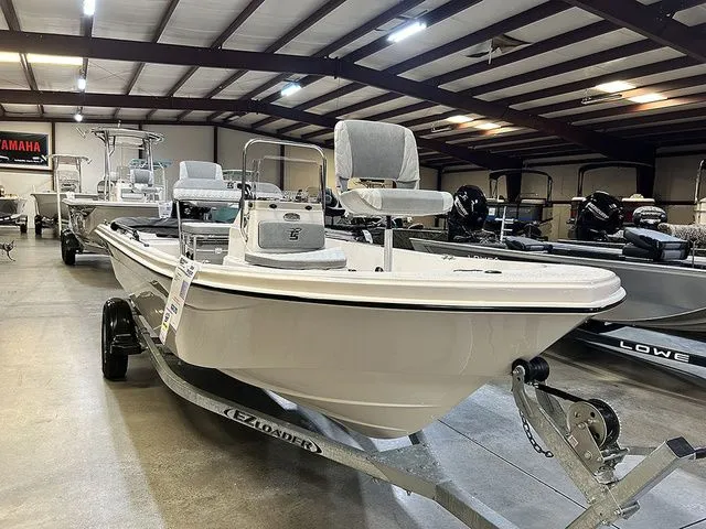 The Image of Carolina 178 JLS 2026 - 1