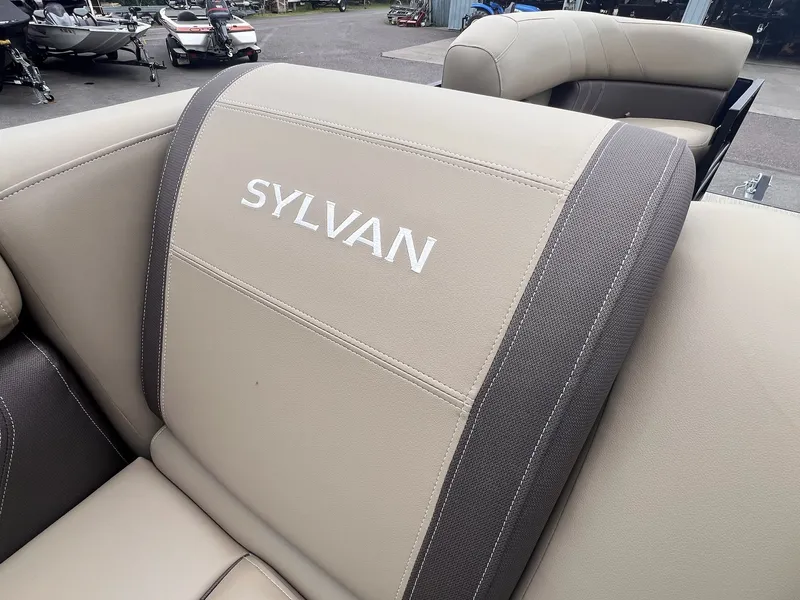 Slide: The Image of Sylvan Mirage 8520 Party Fish 2026 - 21