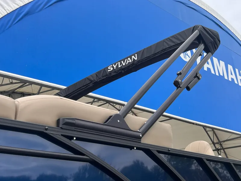 Slide: The Image of Sylvan Mirage 8520 Party Fish 2026 - 32