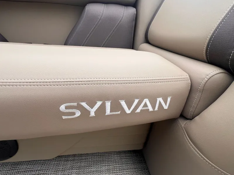 Slide: The Image of Sylvan Mirage 8520 Party Fish 2026 - 7