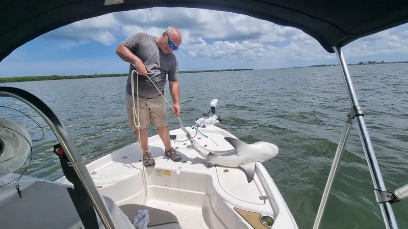 Slide: The Image of NauticStar 195 XTS CC 2022 - 17