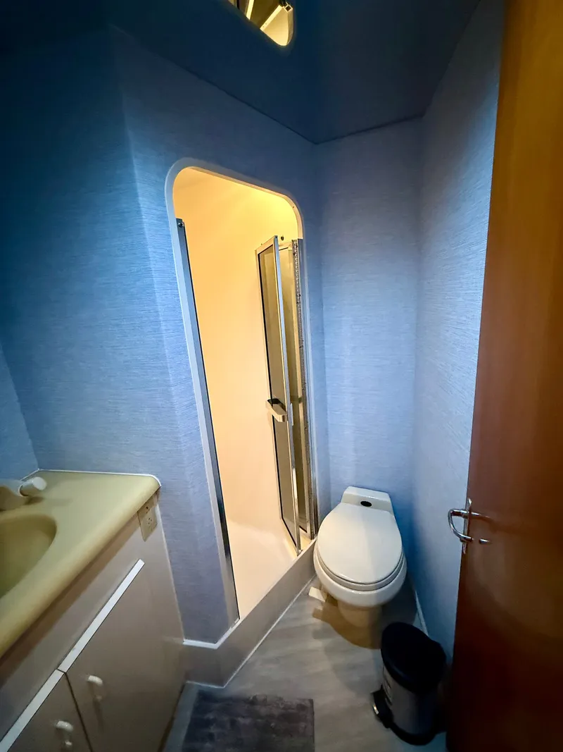 Slide: The Image of Viking Enclosed Bridge 1997 - 33