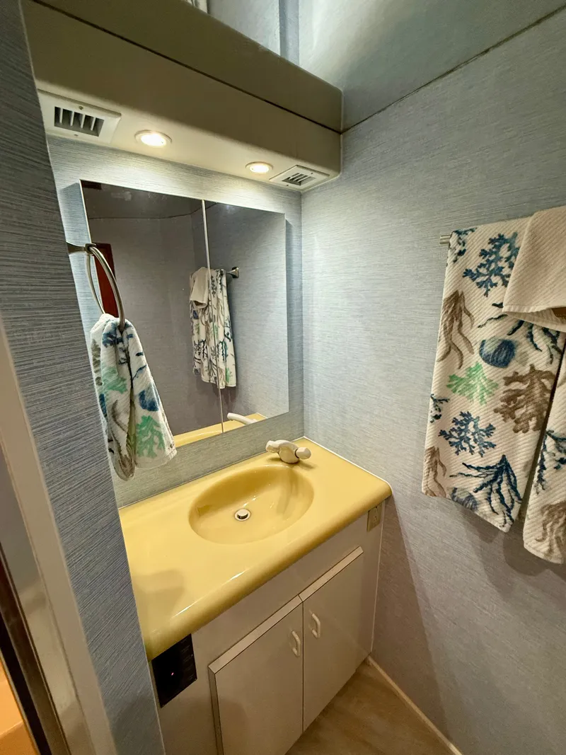 Slide: The Image of Viking Enclosed Bridge 1997 - 40