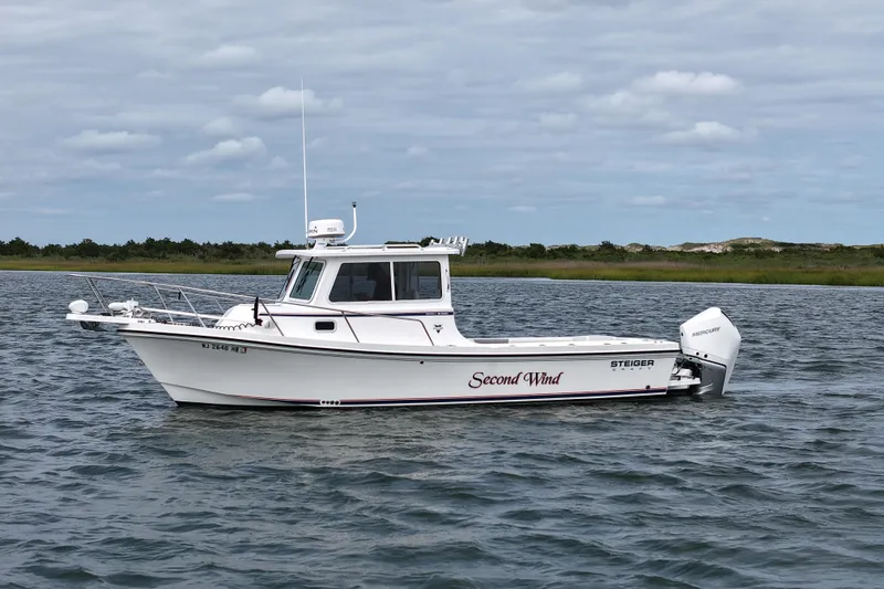 Slide: The Image of 2022 Steiger Craft 255DV Miami boat on water, overcast sky, grassy shoreline. - 4