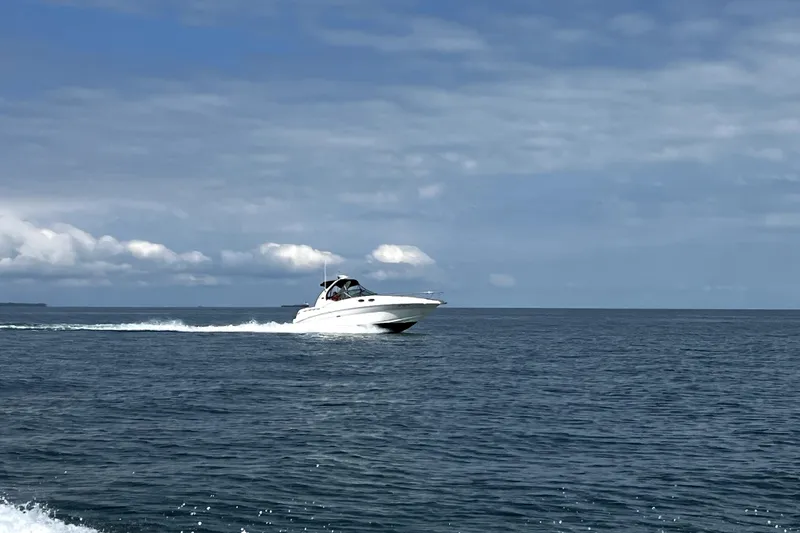 Slide: The Image of 2005 Sea Ray 320 Sundancer cruising on open water under a cloudy sky. - 3