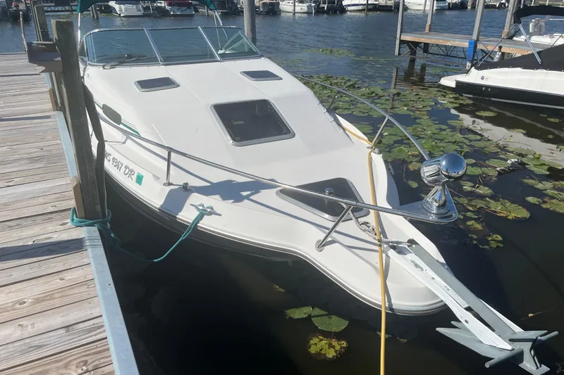 Slide: The Image of 1993 Sea Ray 250 Sundancer docked at marina with lily pads nearby. - 3