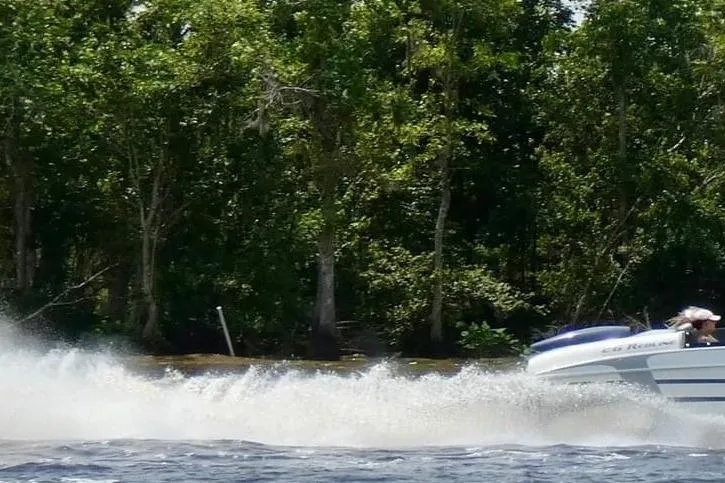 Slide: The Image of Speedboat RPM REDLINE 2008 cruising on water near lush green forest. - 5