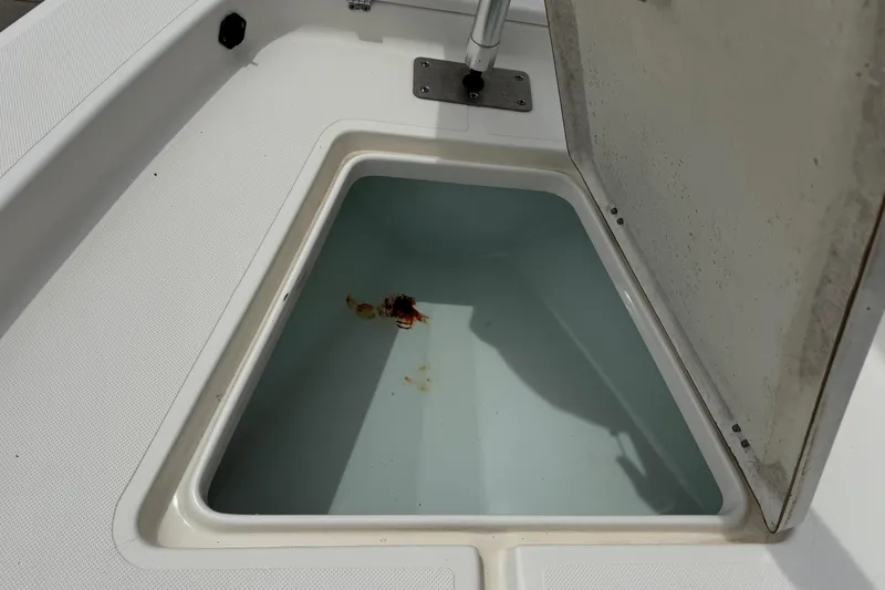 Slide: The Image of Open storage compartment on 2016 Sea Born SV19 Bay boat. - 13