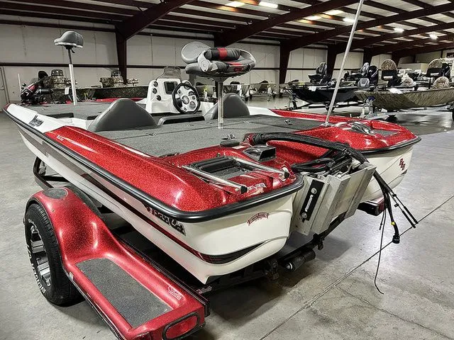 Slide: The Image of Bass Cat Margay 2013 - 11