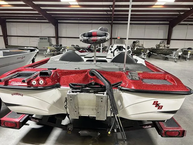 Slide: The Image of Bass Cat Margay 2013 - 12