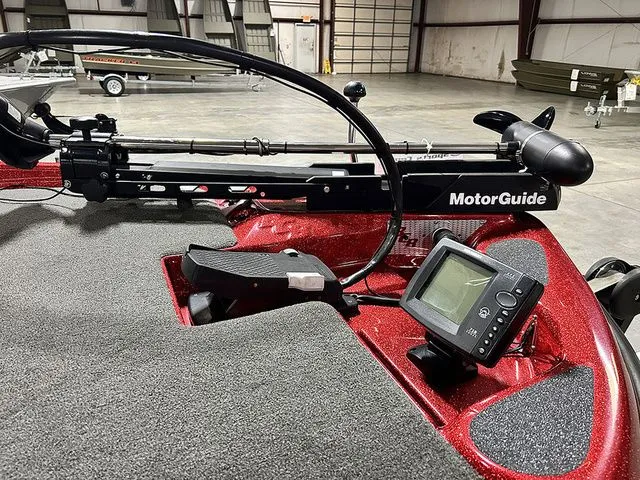 Slide: The Image of Bass Cat Margay 2013 - 3