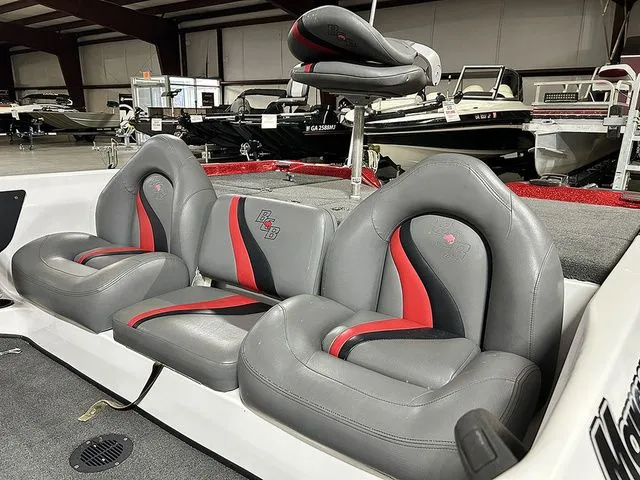 Slide: The Image of Bass Cat Margay 2013 - 5