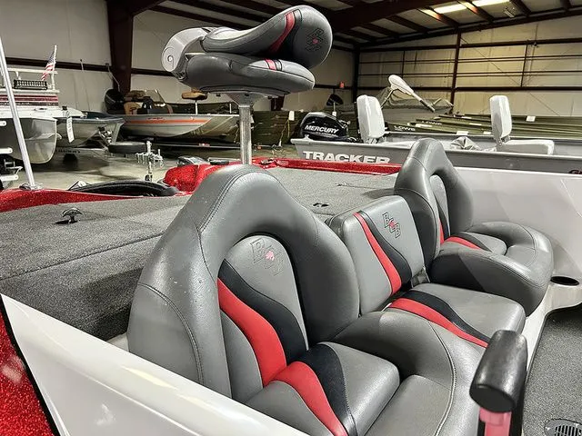 Slide: The Image of Bass Cat Margay 2013 - 8