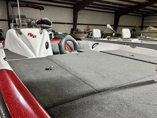 Slide: The Image of Bass Cat Margay 2013 - 9