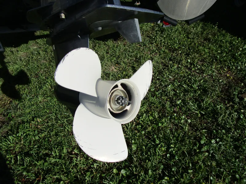 Slide: The Image of Sweetwater SW 2086 F 2021 - 5