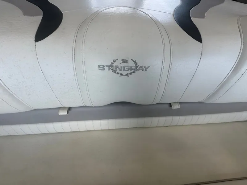 Slide: The Image of Stingray 195 LX 2009 - 10