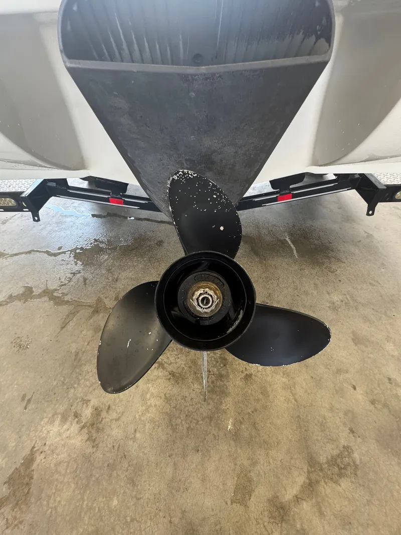 Slide: The Image of Stingray 195 LX 2009 - 13