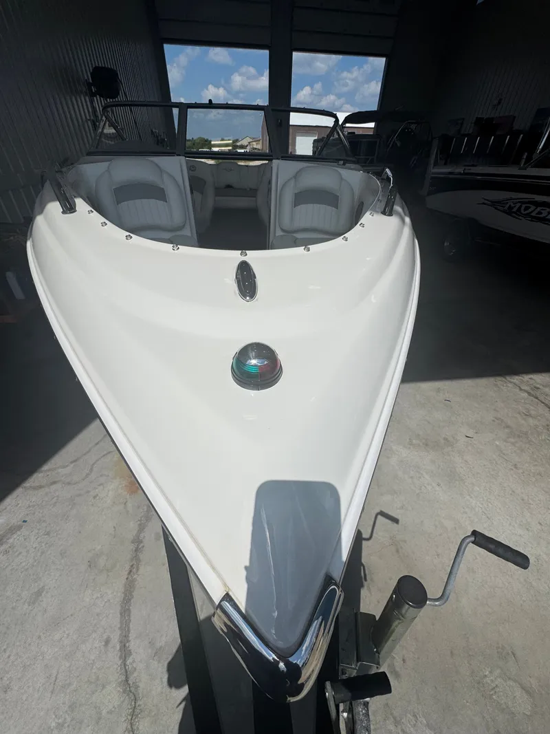 Slide: The Image of Stingray 195 LX 2009 - 3