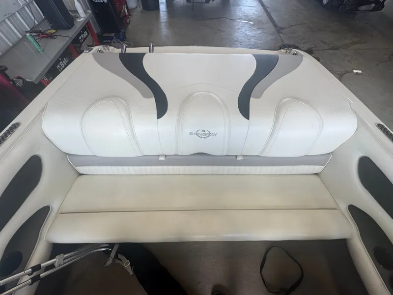 Slide: The Image of Stingray 195 LX 2009 - 9