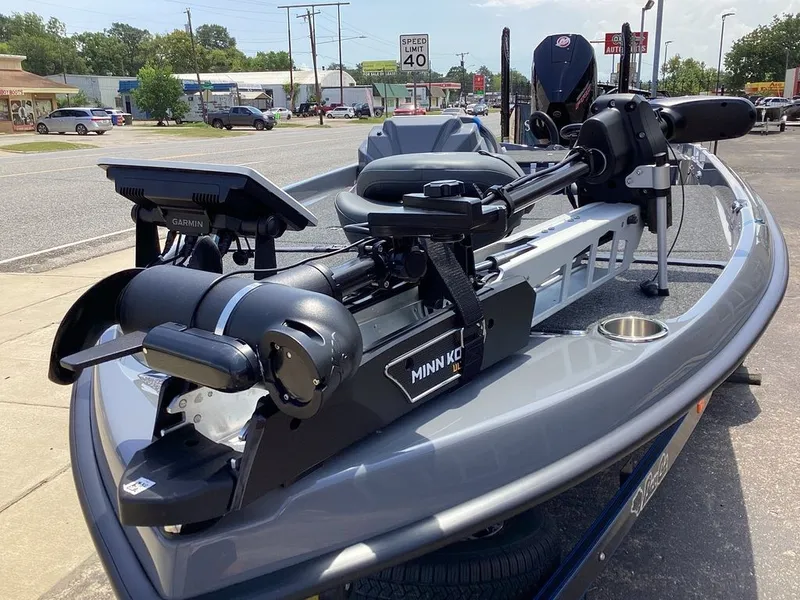 Slide: The Image of Bass Cat Cougar FTD 2025 - 13