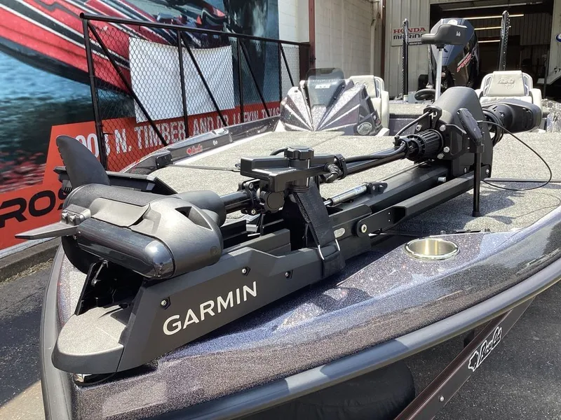 Slide: The Image of Bass Cat Lynx STS 2025 - 24