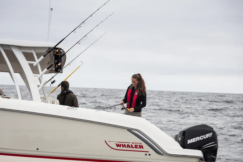 Slide: The Image of Boston Whaler 320 Vantage 2024 - 16