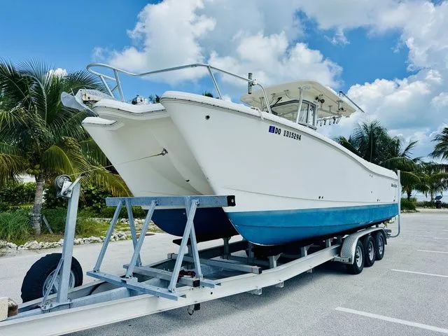 Slide: The Image of World Cat 29 CC 2009 - 1