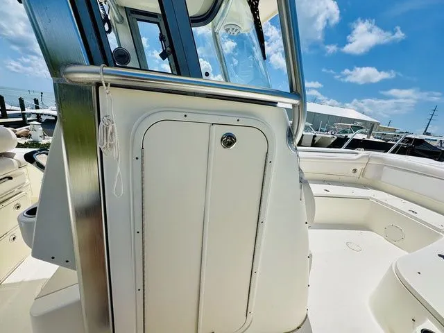 Slide: The Image of World Cat 29 CC 2009 - 13