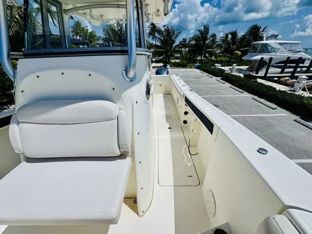 Slide: The Image of World Cat 29 CC 2009 - 15