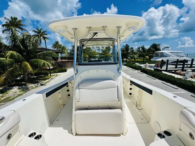 Slide: The Image of World Cat 29 CC 2009 - 16