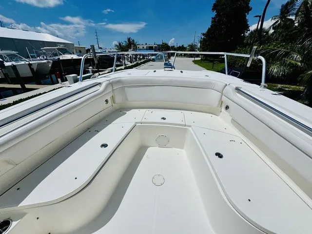 Slide: The Image of World Cat 29 CC 2009 - 17