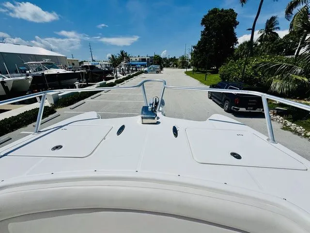 Slide: The Image of World Cat 29 CC 2009 - 18