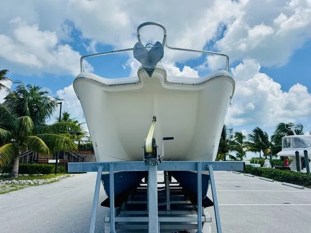 Slide: The Image of World Cat 29 CC 2009 - 19