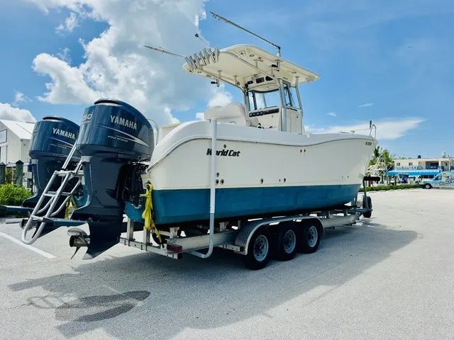 Slide: The Image of World Cat 29 CC 2009 - 20