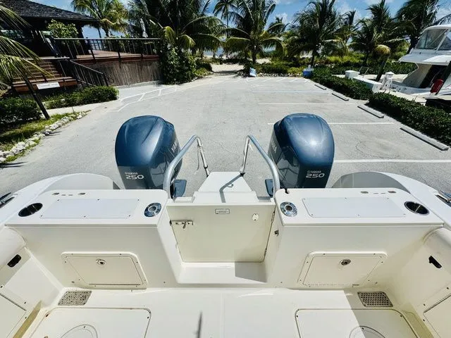 Slide: The Image of World Cat 29 CC 2009 - 4