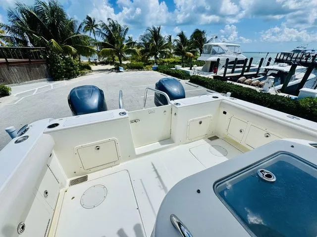 Slide: The Image of World Cat 29 CC 2009 - 5