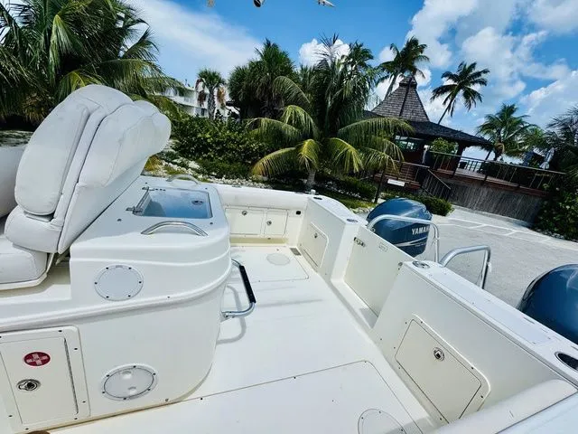 Slide: The Image of World Cat 29 CC 2009 - 6