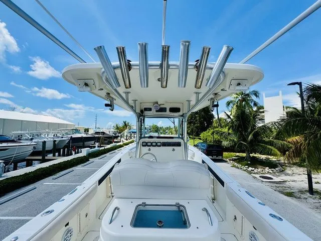 Slide: The Image of World Cat 29 CC 2009 - 7