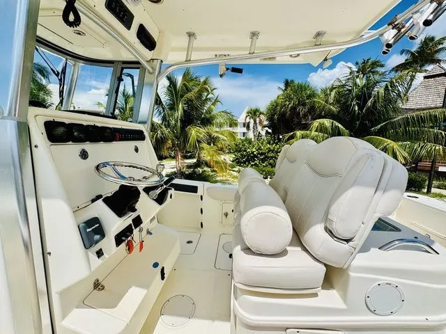 Slide: The Image of World Cat 29 CC 2009 - 9