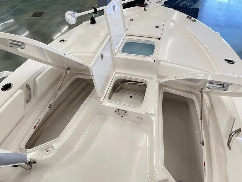Slide: The Image of Robalo 246 Cayman 2026 - 17