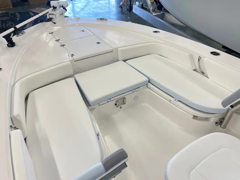 Slide: The Image of Robalo 246 Cayman 2026 - 19