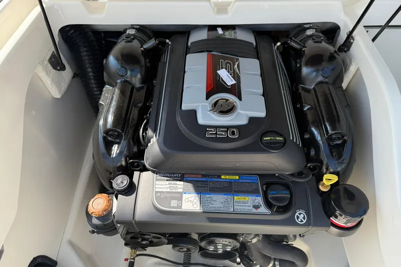 Slide: The Image of 2025 Bayliner D22I boat engine, Mercury 250 horsepower, detailed view. - 7