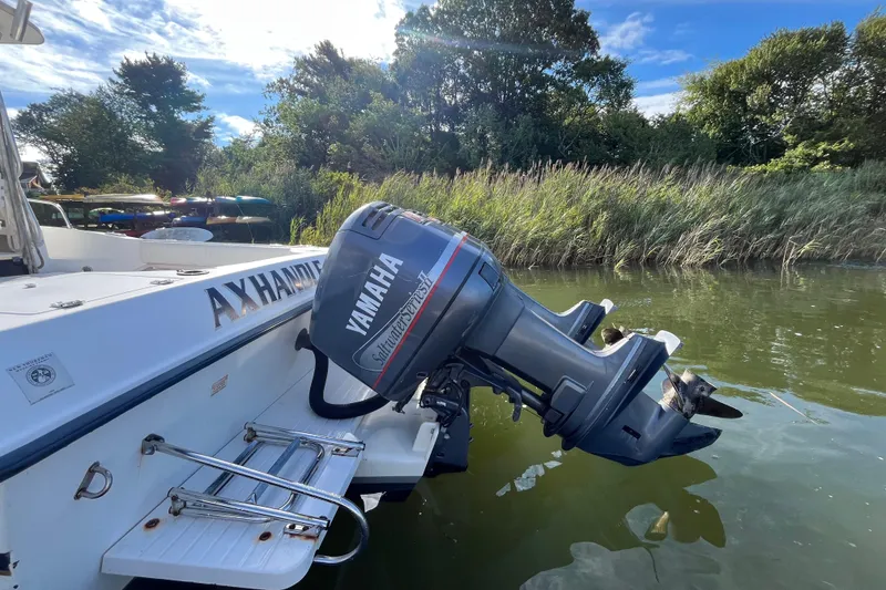Slide: The Image of 1999 Grady-White Gulfstream 232 with Yamaha outboard motor on a calm river. - 7