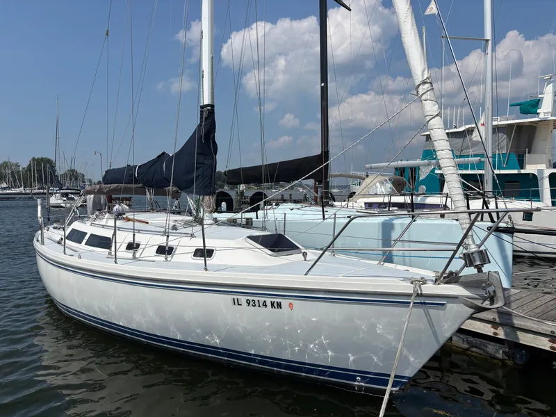 The Image of 1992 Catalina 34 sailboat docked at a marina under a clear blue sky. - 0